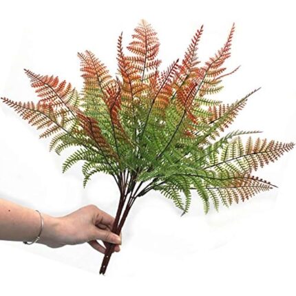 51czdauziql. ac us800