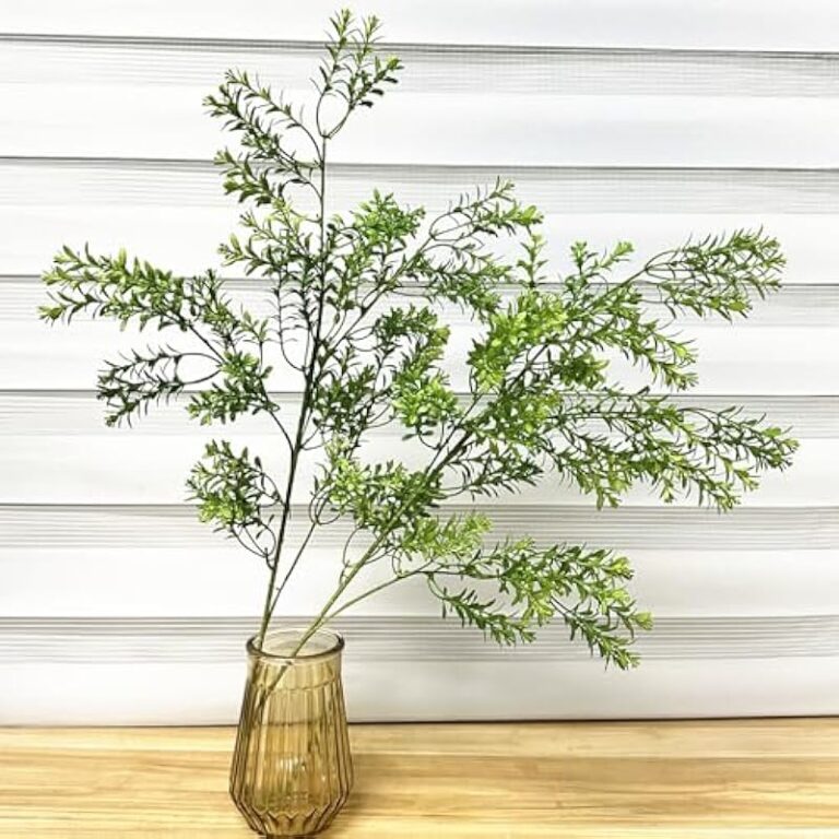 51eo7amvwel. ac us800