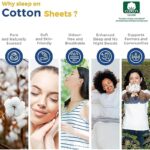 51ffcyt2b1l. ac us800