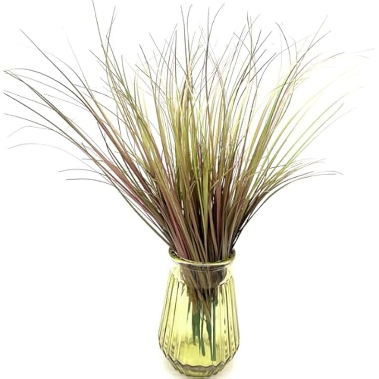 51fhtkpj39l. ac us800