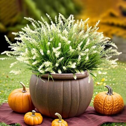 51gkgwq1yjl. ac us800