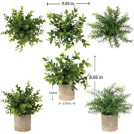 51hloqak3l. ac us800