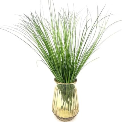 51jhrmseazl. ac us800