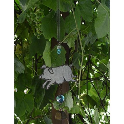 51jelo9vyl. ac us800