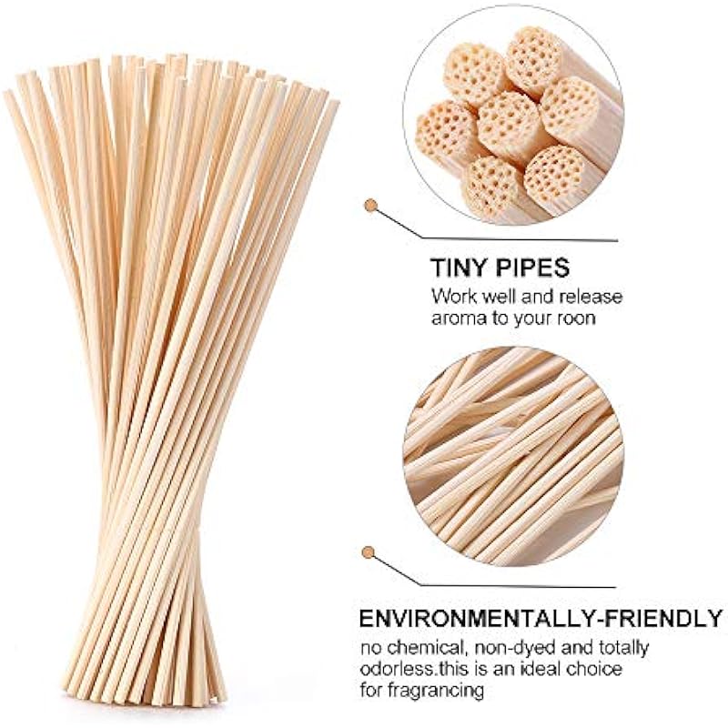 51jxqzgk0nl. ac us800