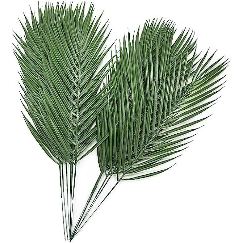 51mfhoehkyl. ac us800