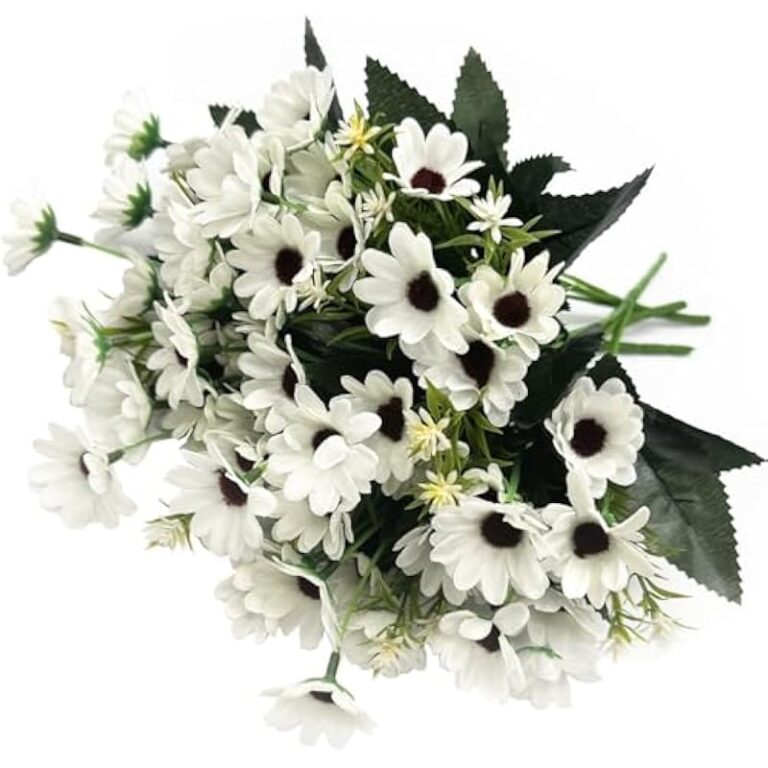 51mmg74zil. ac us800