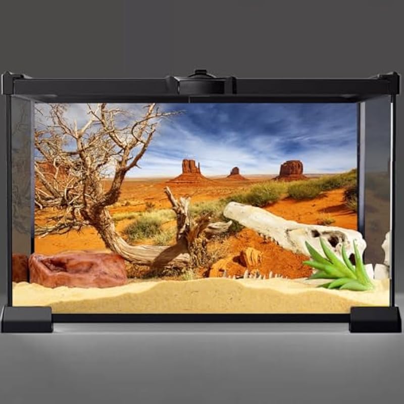 51nnuf6kvl. ac us800