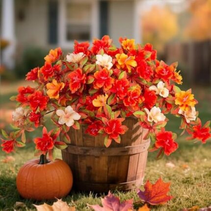 51o35cqblrl. ac us800 