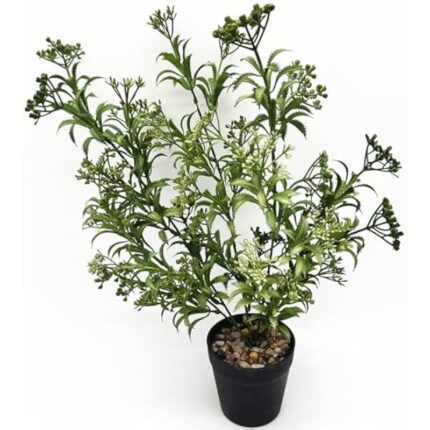 51oi j8an3l. ac us800