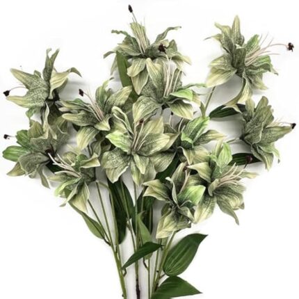 51pp0pc4vml. ac us800