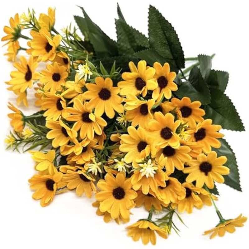 51paY7TMf9L._AC_US800_ 51pay7tmf9l. ac us800