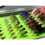 51pvkqbexfl. ac us800