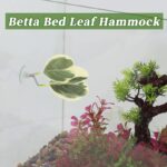 51qaq2pkgjl. ac us800