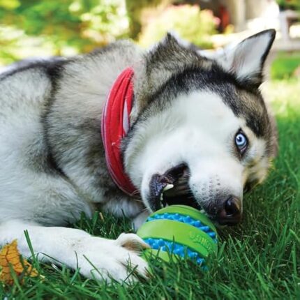 51qyqc3c0ml. ac us800