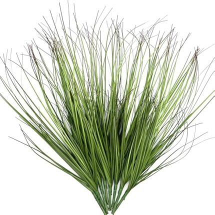 51rb57djdzl. ac us800