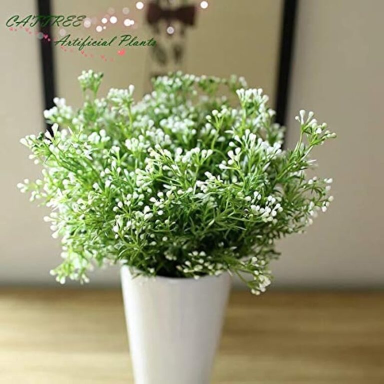 51ssrlfco l. ac us800