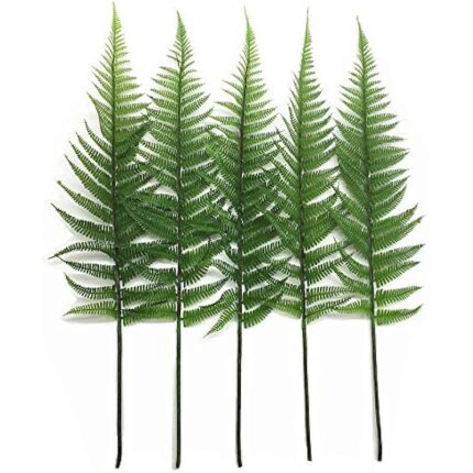 51vgbmhfubl. ac us800