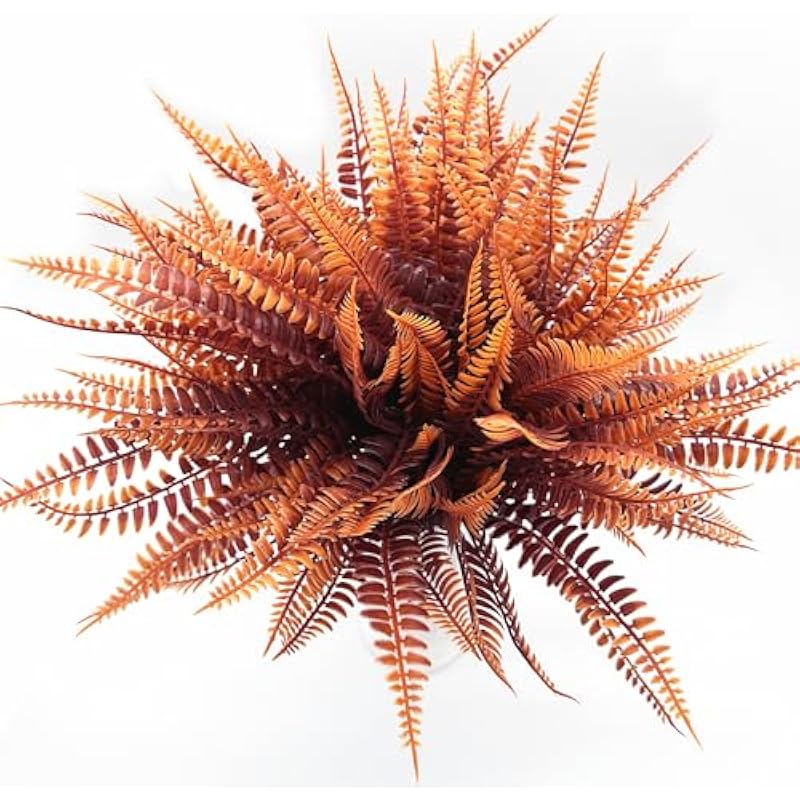 51wh7qggo1l. ac us800