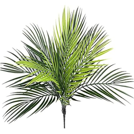 51yj2oqb9rl. ac us800 