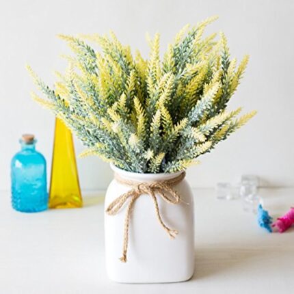 51zcrn2vlpl. ac us800