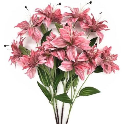 51ziomvepfl. ac us800 