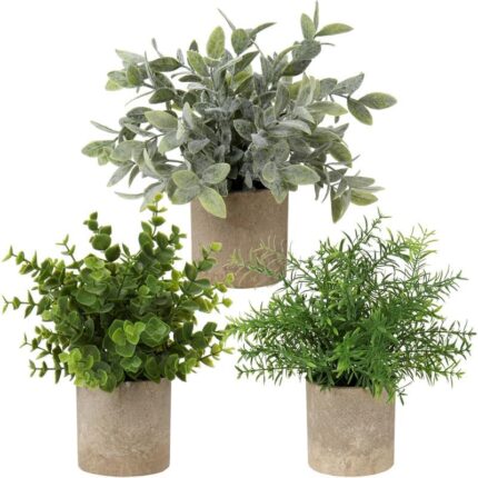 610mvrqrr6l. ac us800