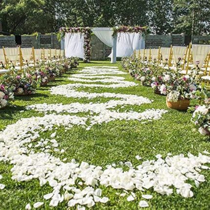 61aipdqhhll. ac us800