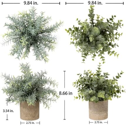 61dyn69q39l. ac us800