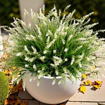 61ptq3ha8l. ac us800