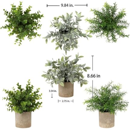 61pw3z33hhl. ac us800