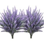 61uklaqlj0l. ac us800