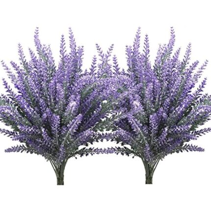 61uklaqlj0l. ac us800