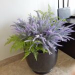 61vdakrp4ml. ac us800