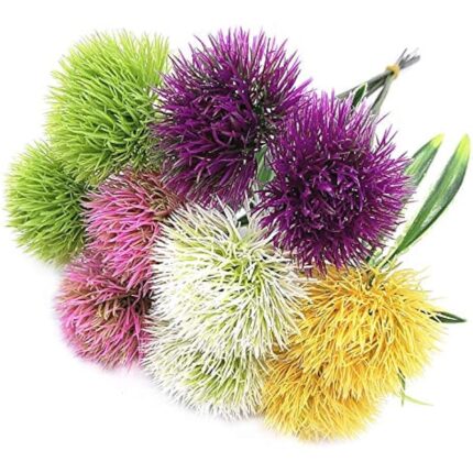 61xrmohq7nl. ac us800