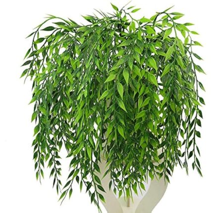 61ajes0cydl. ac us800