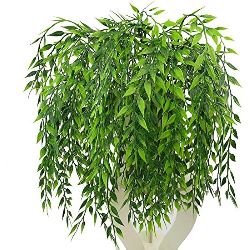 61ajes0cydl. ac us800