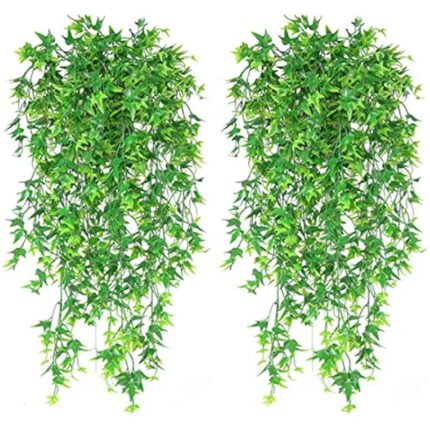 61dy851rt3l. ac us800