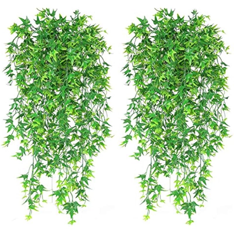 61dy851rt3l. ac us800