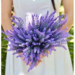 61e rrimkol. ac us800