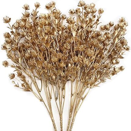 61gg51klsgl. ac us800 