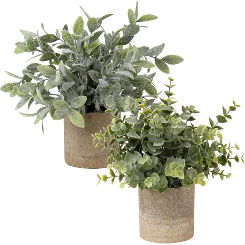 61hars7jbil. ac us800