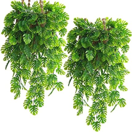 61imza4 qis. ac us800 