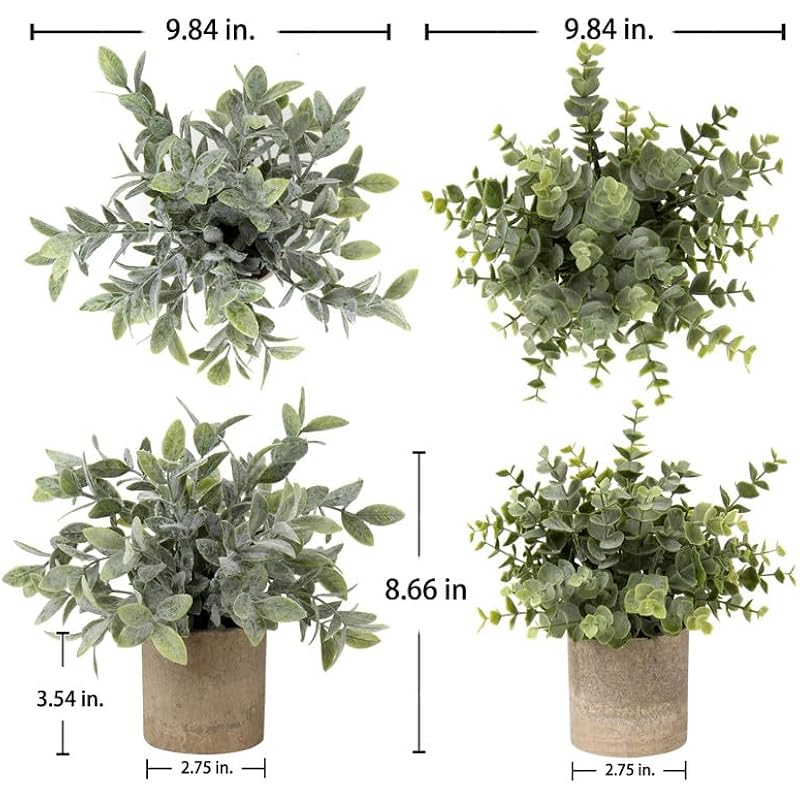 61l7cl1fo l. ac us800