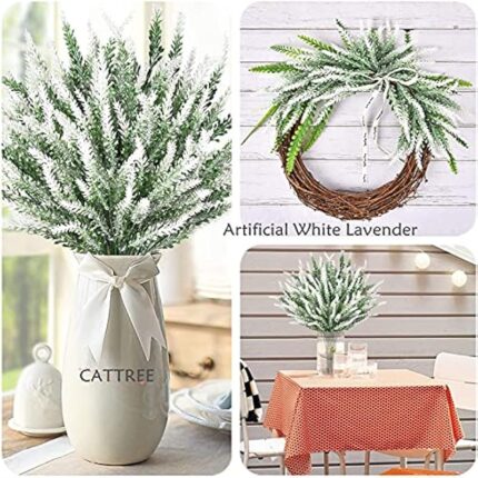 61r7x3leens. ac us800