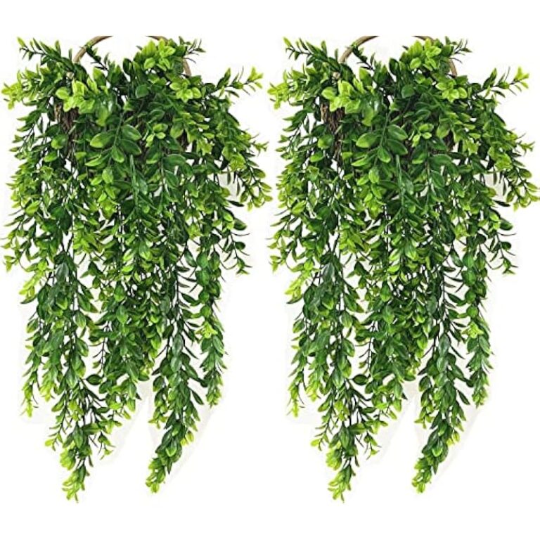 61xfjzte2yl. ac us800