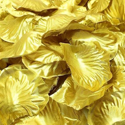 61xqhpe7mll. ac us800